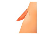 Archivering & Opslag - Leitz Clip file ColorClip Rainbow A4 Orange - 41760045