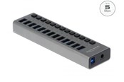 USB hub - DeLOCK - hub - 13 ports USB hub - 13 - USB 3.0 - Grijs - 63738