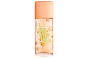 Parfum en geuren - Elizabeth Arden Green Tea Nectarine EDT 100 ml - 0085805544829