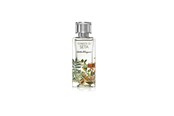 Parfum en geuren - Salvatore Ferragamo Foreste Di Seta EDP 100 ml - 8052464891825