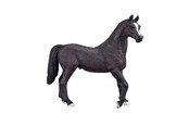 Speelgoedpop - Mojo Horse World Arabian Stallion Black - 387069