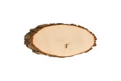 Creatief spelen - Playwood Make your own Nameplate Tree Bark 28 cm - SL30-33