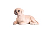 Speelgoedpop - Mojo Farmland Labrador Puppy - 387272