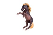 Speelgoedpop - Mojo Horse World Brumby Stallion - 381060