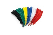 Schrijf- en tekenartikelen - Colorations - Feathers 30cm Set of 24 - CHLGQUIL