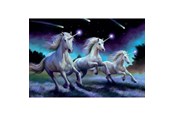 Puzzels - Educa 1000 Shooting Stars Anne Stokes - 80-19919