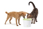 Katten - Catit Design White/Lime Drinking fountain 3L - H55600