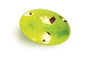 Katten - Catit Play Treat "SPINNER" - H43750