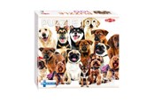 Puzzels - Tactic Group of Cute Dogs 1 pcs puzzle Vloer - 59233