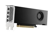 Grafische kaarten - Dell RTX 2000 Ada - 16GB GDDR6 RAM - Grafische kaarten - DELL-HMX86