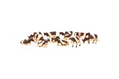 Speelgoedpop - Kids Globe Cows Red/Fur 12pcs. 1:32 - 571968