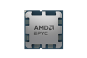 CPU - AMD EPYC 4124P - Tray CPU - 4 kernen - 3.8 GHz - AMD AM5 - OEM/tray (zonder koeler) - 100-000001570