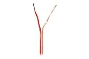 Audiokabel - Nedis bulk speaker cable - 100 m - CABR1500TR1000
