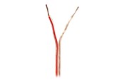 Audiokabel - Nedis bulk speaker cable - 15 m - CABR1500TR150