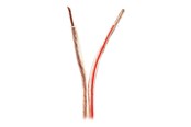 Audiokabel - Nedis bulk speaker cable - 100 m - CABR4000TR1000