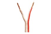 Audiokabel - Nedis bulk speaker cable - 15 m - CAGW4000TR150
