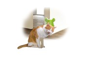 Katten - AFP All For Paws - Groomer Corner 14*12*9Cm - (781.1020) - 781.1020