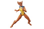 Speelgoedpop - Hasbro Marvel Legends Series Wolfsbane 6" Comics Collectible Action Figure - F90745X00