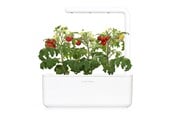 Decoratie - Click & Grow - Smart Garden 3 Start kit (Color: White) (SGS1UNI) - SGS1UNI
