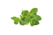Smart Home - Click & Grow Click and Grow - Smart Garden Refill 3-pack Oregano - SGR31X3