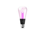 Smart Home - Philips Hue Lightguide E27 Edison Bulb - 1-Pack *DEMO* - 929003151501