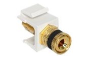 Accessoires - DeLOCK Modular Insert - 86303