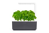 Decoratie - Click & Grow - Smart Garden 3 Startkit - dark grey (SGS8UNI) - SGS8UNI
