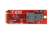 Harde schijf accessoires - DeLOCK - Interface Adapter - SAS 12Gb/s - M.2 Card - 62721