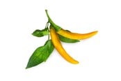 Smart Home - Click & Grow - Smart Garden Refill 3-pack Yellow Chili Pepper - SGR60X3