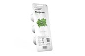 Smart Home - Click & Grow - Smart Garden Refill 3-pack Marjoram - SGR41X3