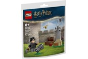 LEGO® - LEGO Harry Potter 30706 Zwerkbal™ les - 30706