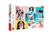 Puzzels - Trefl Puzzle - Puzzles Cute dogs (1500 pieces) Vloer - TFL26186