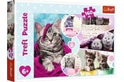 Puzzels - Trefl Puzzle - Lovely kittens (160 pieces) Vloer - TFL15371