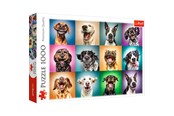 Puzzels - Trefl Puzzle - Funny dog portraits (1000 pieces) 2D Puzzels - TFL10462