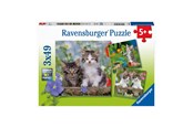 Puzzels - Ravensburger Jigsaw puzzle Young Kittens 3x49pcs. Vloer - 080465