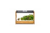Smart Home - Click & Grow Click and Grow 25 - Black (Salad Greens 54x pack) - CG25BMAINSG