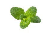 Smart Home - Click & Grow Click and Grow Smart Garden Refill 3-pack - Apple Mint - SGR79X3