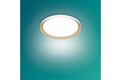 Lampen - Philips Pebblo UE Ceiling SS W 10W 40K - 929004116701