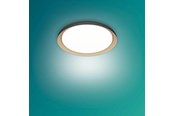 Lampen - Philips Pebblo UE Ceiling SS B 10W 27K - 929004116801