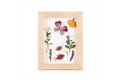 Decoratie - Kikkerland - HUCKLEBERRY PRESSED FLOWER FRAME (HB02-F) - HB02-F