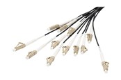 Netwerk - kabel - DIGITUS breakout cable - 30 m - black - Zwart - 30m - DK-2433CU030BK-BBB