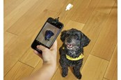 Mobiel - Overige accessoires - Kikkerland - Dog Treat Selfie Clip (DIG01) - DIG01