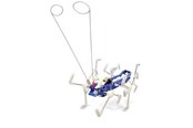 Gadget - Kikkerland - Mxykikker Wind Up (1504) (Assorted) - 1504