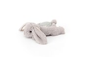 Speelgoed voor baby's - Cloud B Dream Buddies Bunny - CB7472-BUG