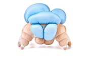 Merchandise - Numskull - Destiny: Screeb Hatchling - Pluche - NS4269