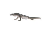 Speelgoedpop - Mojo - Wildlife Perentie Lizard - 381061 - 381061
