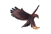 Speelgoedpop - Mojo - Wildlife Golden Eagle - 381051