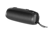 Luidspreker (draagbaar en voor feesten) - STREETZ S350 - speaker - for portable use - wireless - S350-BLK