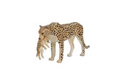 Speelgoedpop - Mojo - Wildlife Cheetah Female with Cub - 387167 - 387167