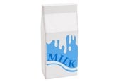Houten speelgoed - Playwood - Wooden Milk Carton - PW2254A